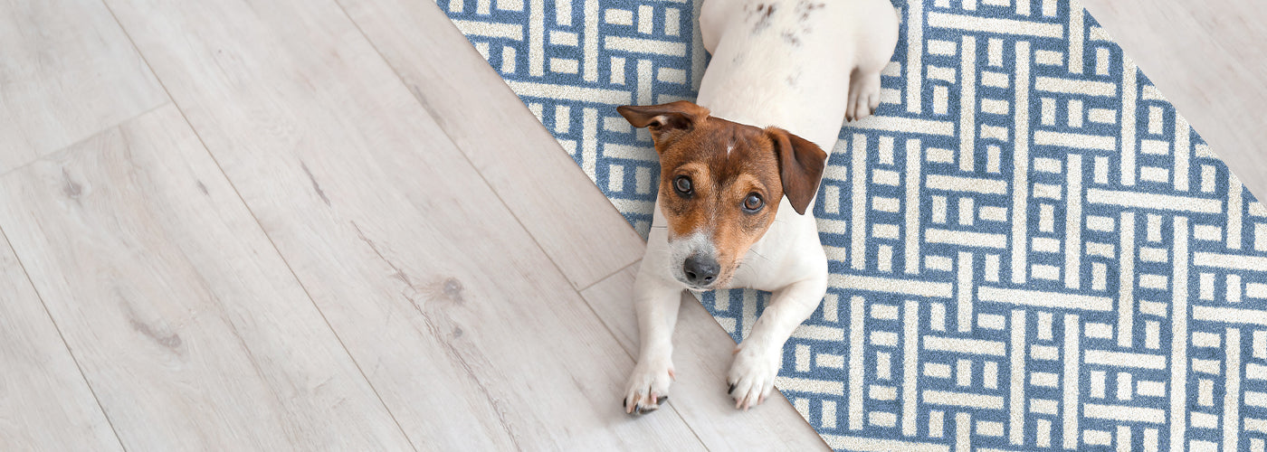 The Spring Cleaning Hack You’re Missing - And It’s Right Under Your Feet!