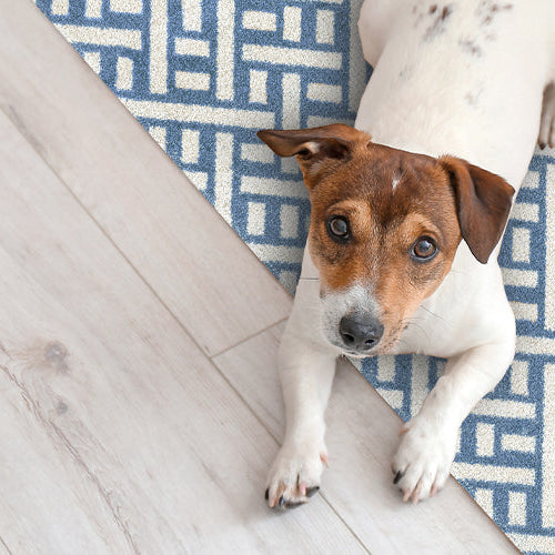 The Spring Cleaning Hack You’re Missing - And It’s Right Under Your Feet!