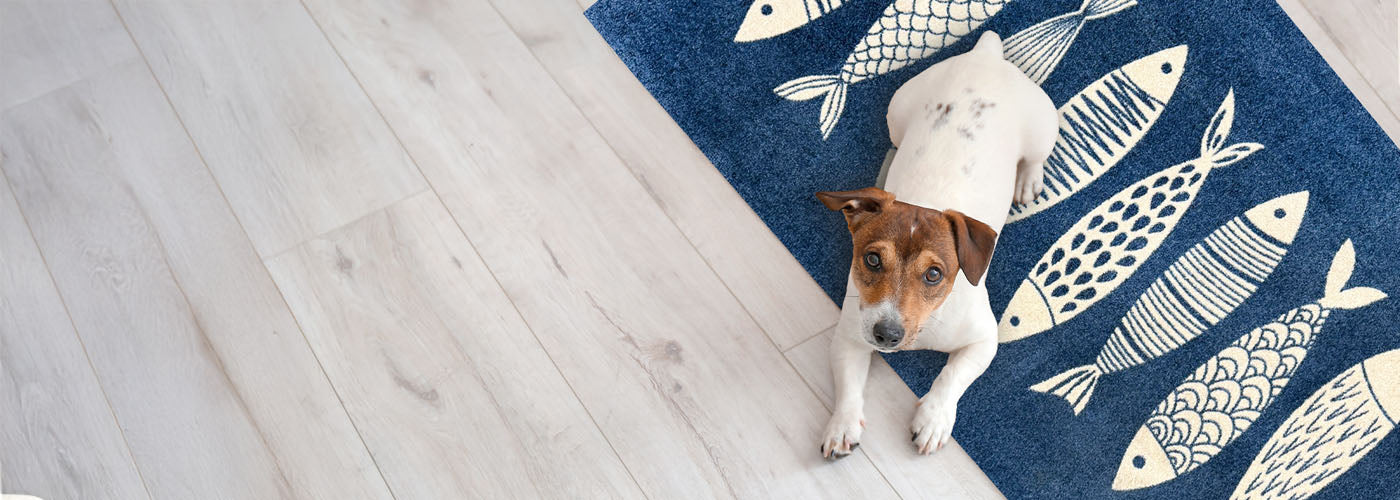 Fresh Floors Ahead: Meet the Wash+Dry Spring Collection