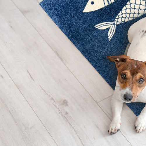 Fresh Floors Ahead: Meet the Wash+Dry Spring Collection
